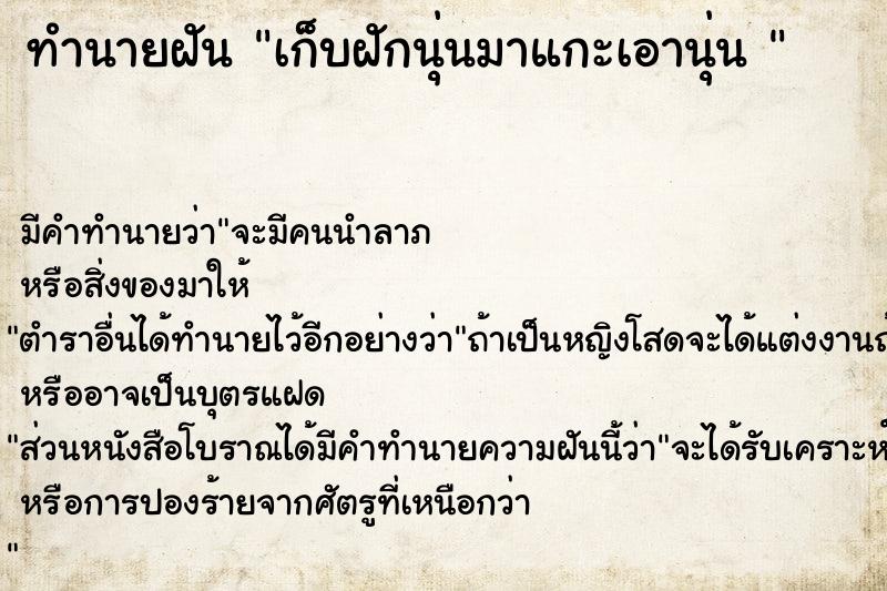 ทำนายฝันทำนายฝันเก็บฝักนุ่นมาแกะเอานุ่น